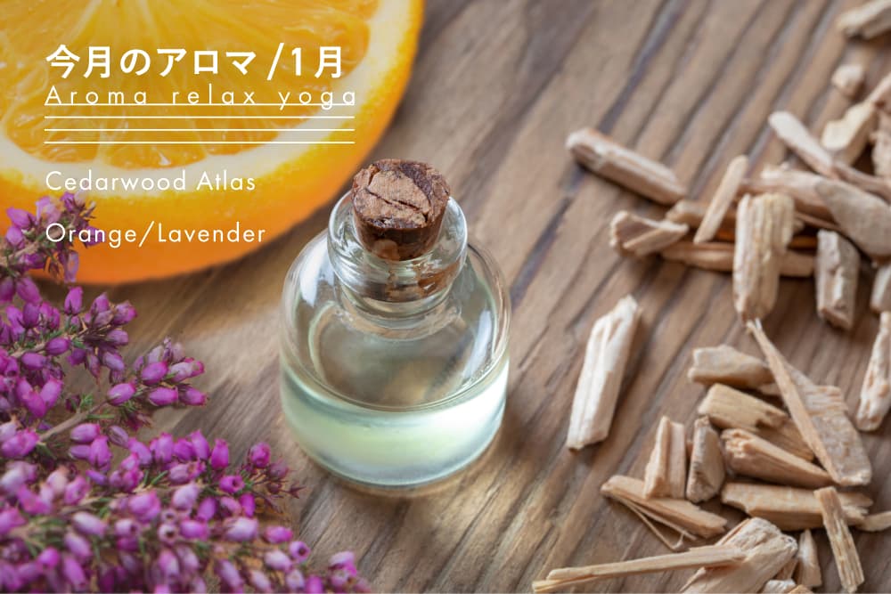 今月のアロマ