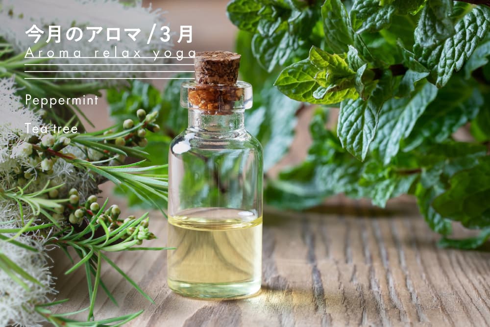 今月のアロマ