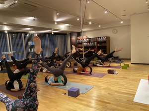 yogawheel_yogasutdionoa02.JPG