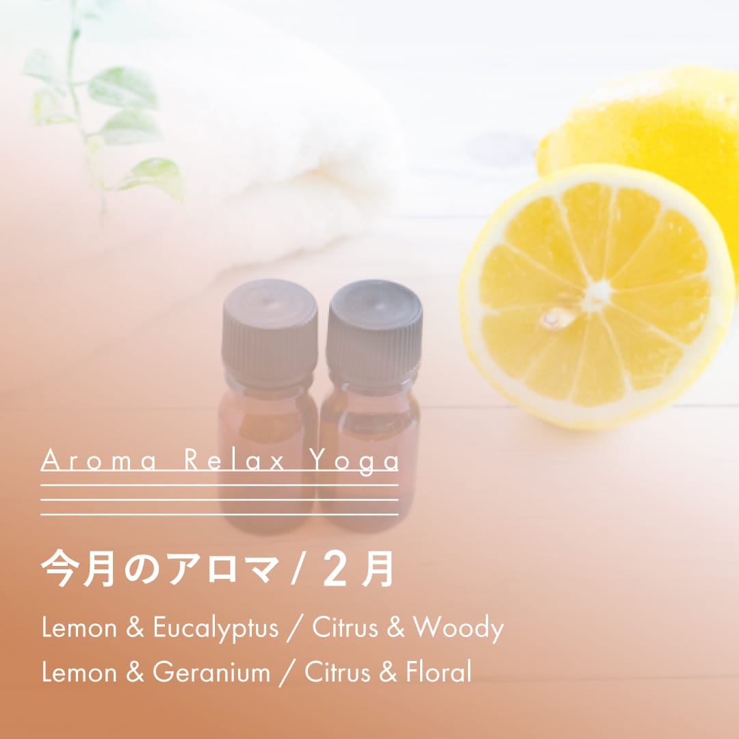 ヨガ教室NOA / アロマリラックスヨガ / 2月のアロマ