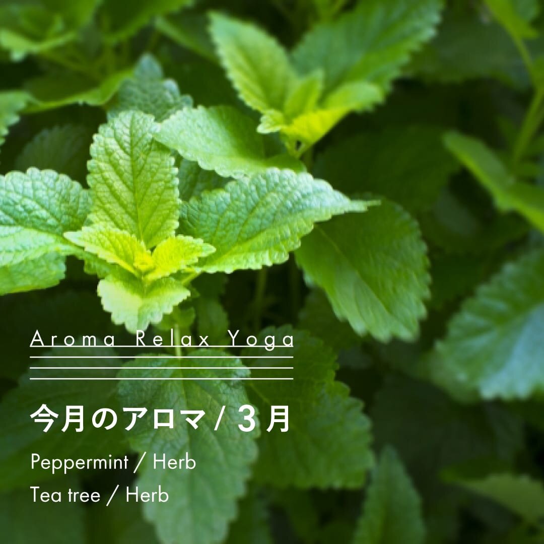 ヨガ教室NOA / アロマリラックスヨガ / 3月のアロマ