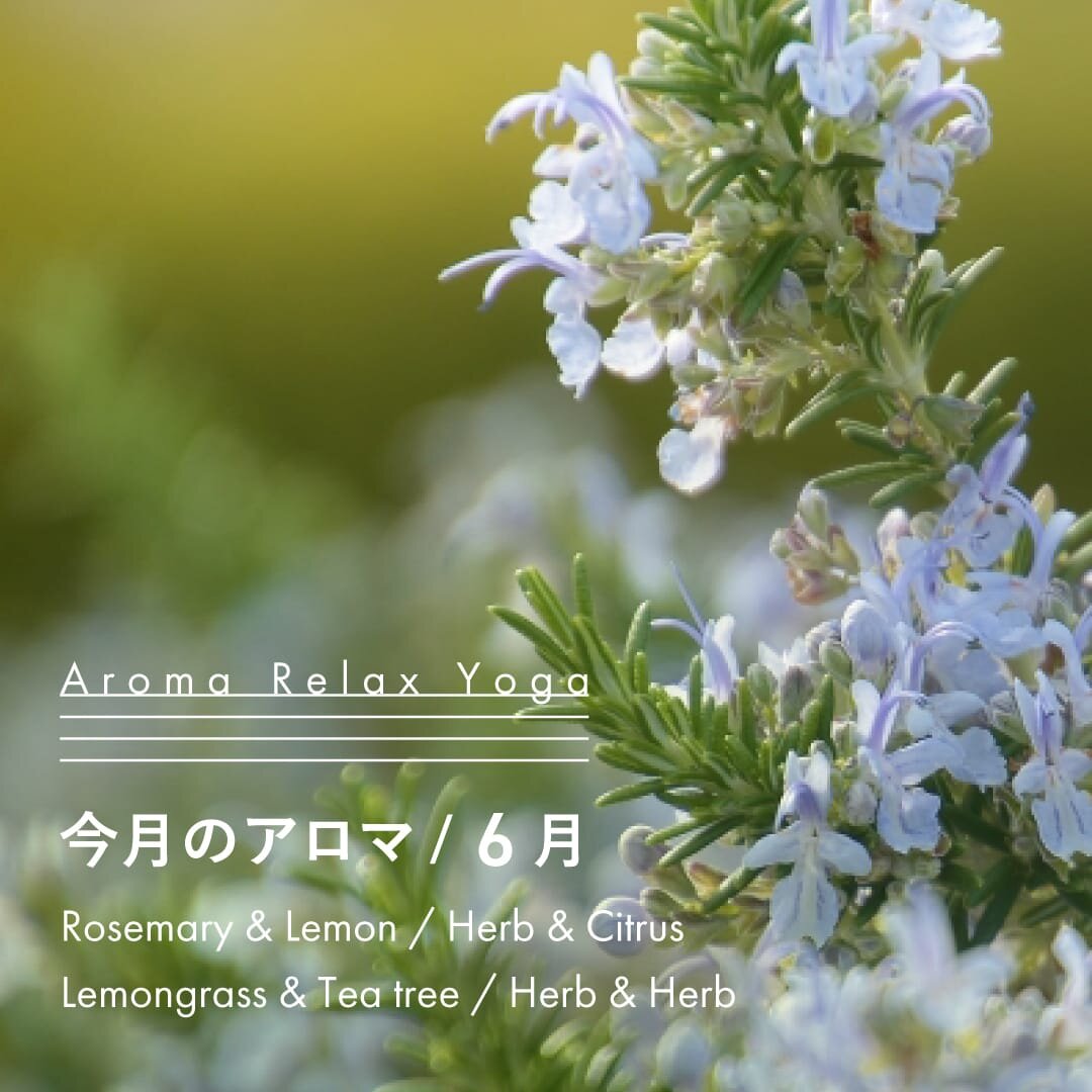 ヨガ教室NOA / アロマリラックスヨガ / 6月のアロマ