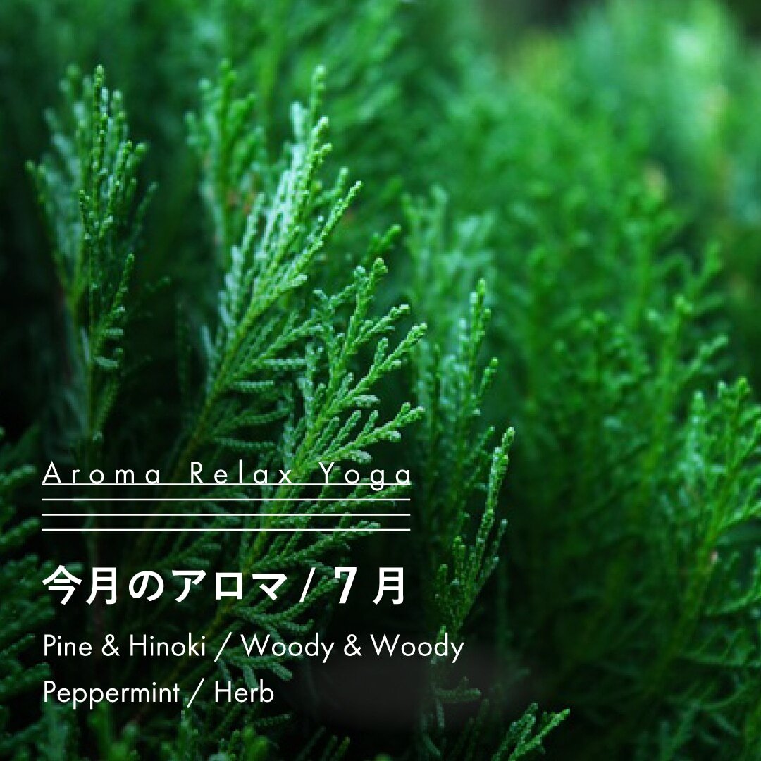 ヨガ教室NOA / アロマリラックスヨガ / 7月のアロマ