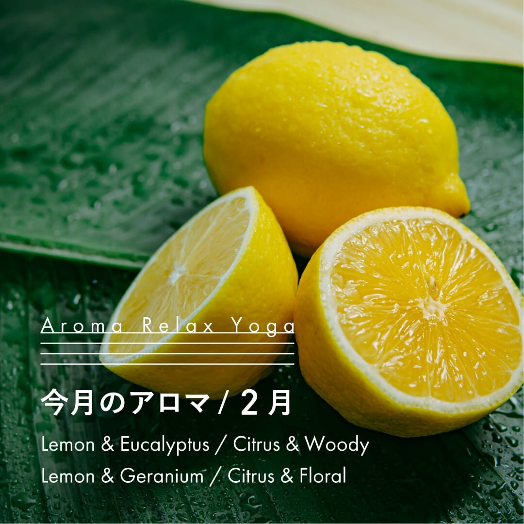 ヨガ教室NOA / アロマリラックスヨガ / 2月のアロマ