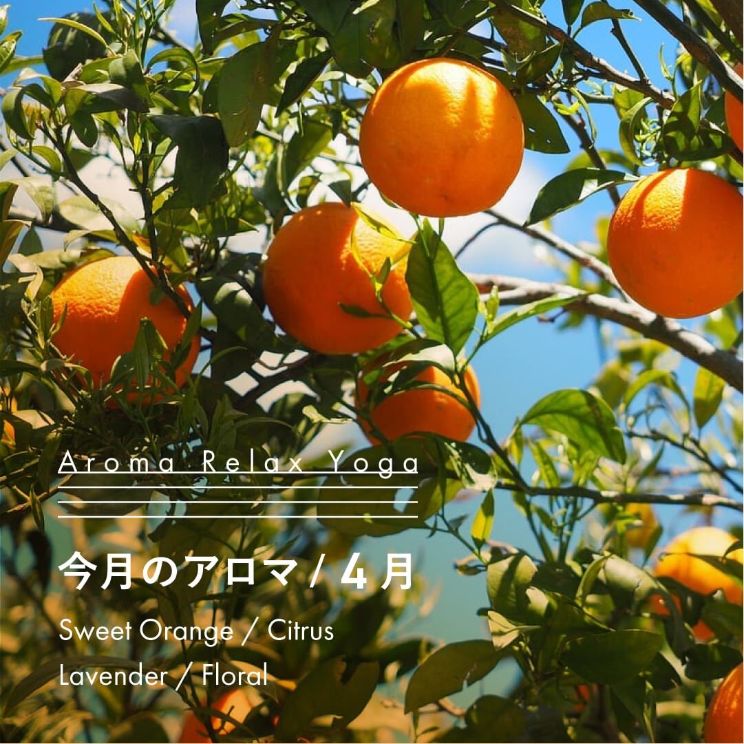 ヨガ教室NOA / アロマリラックスヨガ / 4月のアロマ