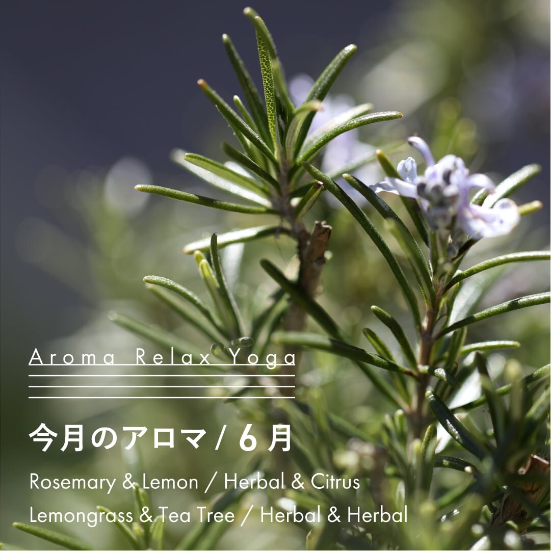 ヨガ教室NOA / アロマリラックスヨガ / 6月のアロマ