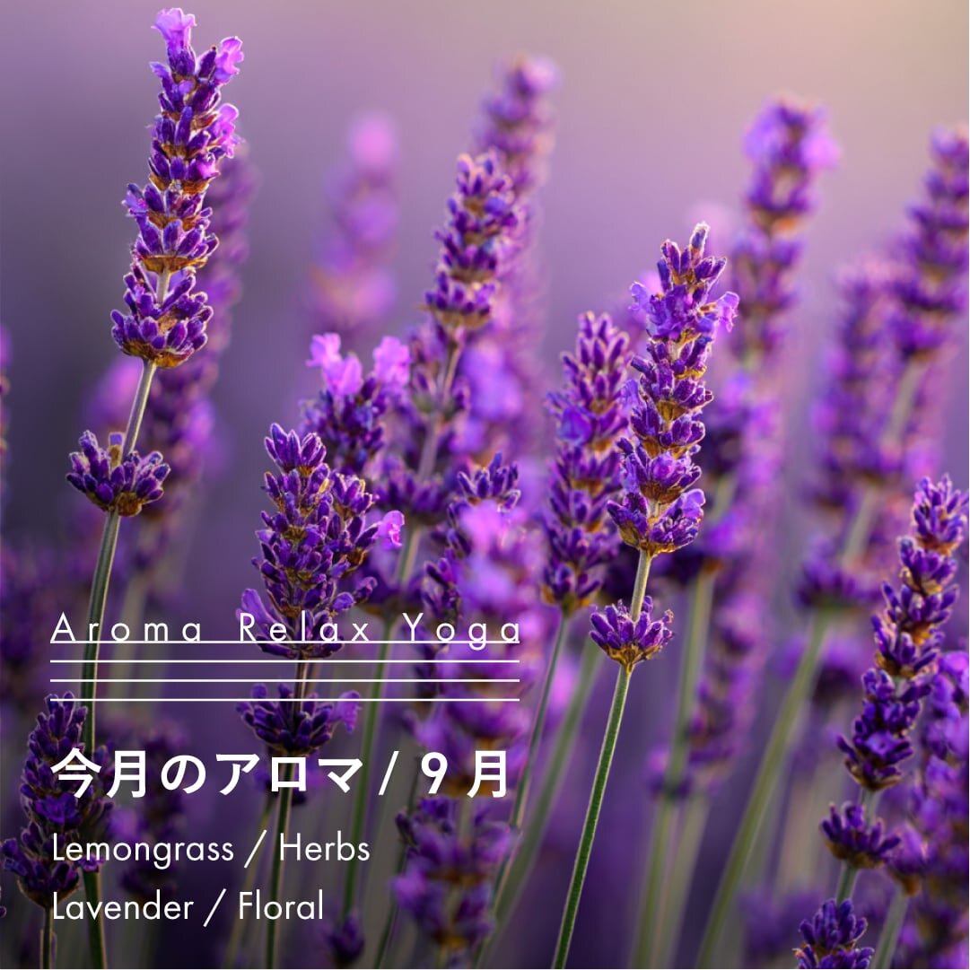 ヨガ教室NOA / アロマリラックスヨガ / 9月のアロマ