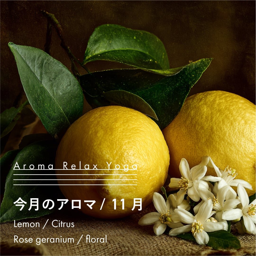 ヨガ教室NOA / アロマリラックスヨガ / 11月のアロマ