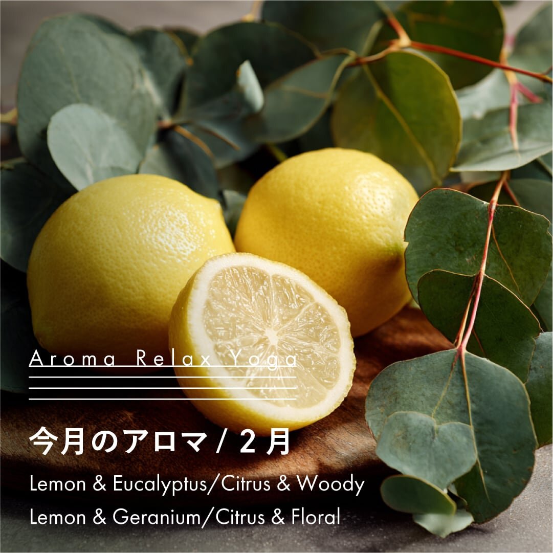 ヨガ教室NOA / アロマリラックスヨガ / 2月のアロマ