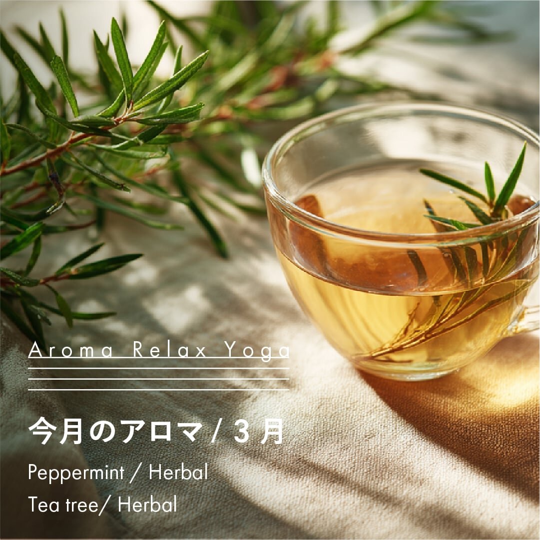 ヨガ教室NOA / アロマリラックスヨガ / 2月のアロマ
